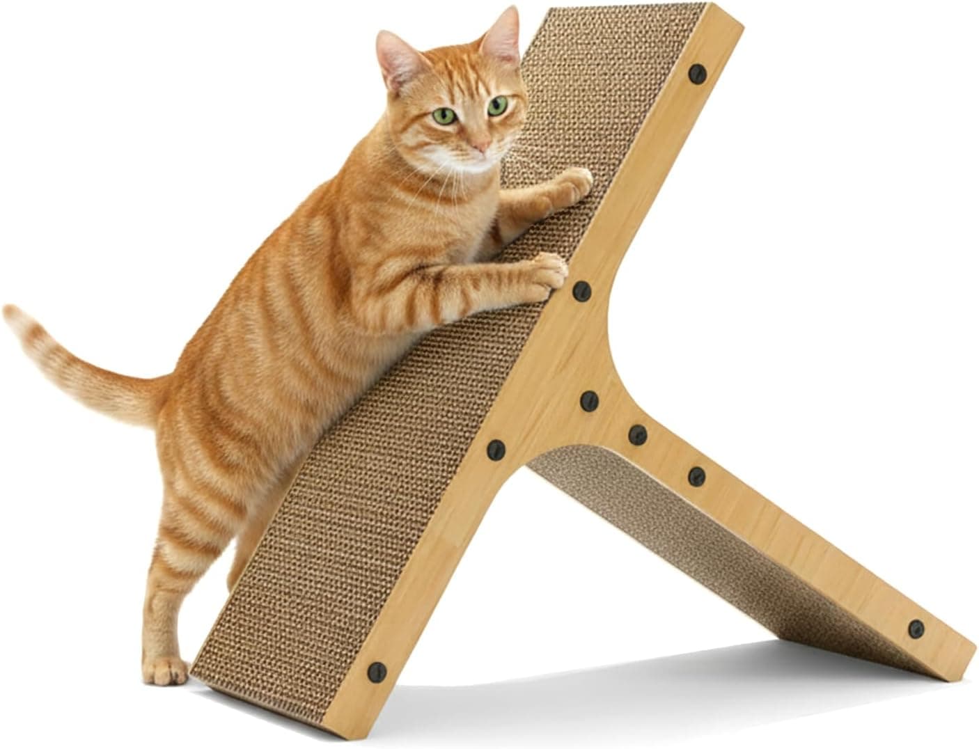 Cat Scratcher